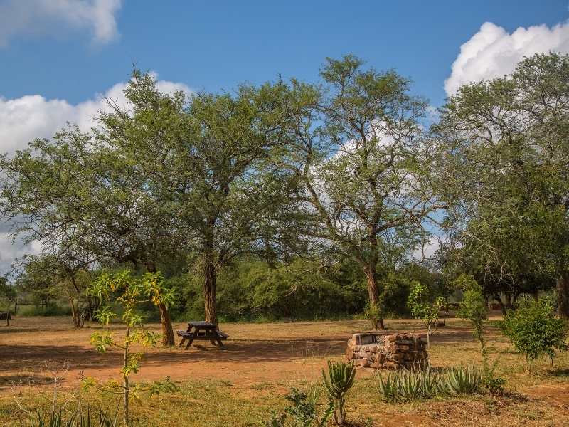 have a picnic lunch and enjoy the beauty of Hlane Royal Park