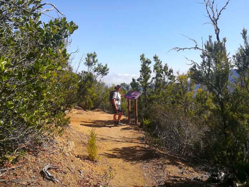 hiker in Garajonay National Park