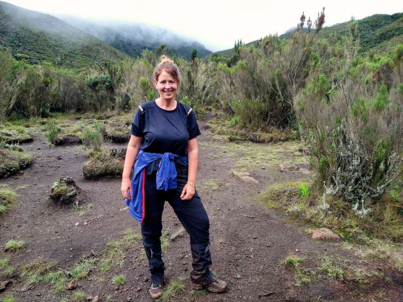 Laurel hiking for Kilimanjaro tour - Lemosho route