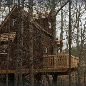 Le Petit Chateau Treehouse - treehouse rentals in Georgia