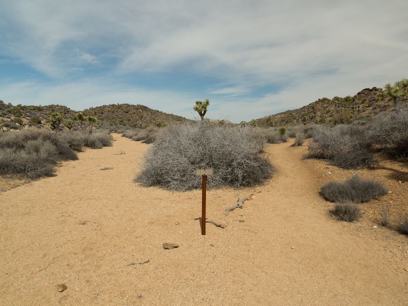 Lost horse mine trail offers not only a peaceful trip to a neat mine