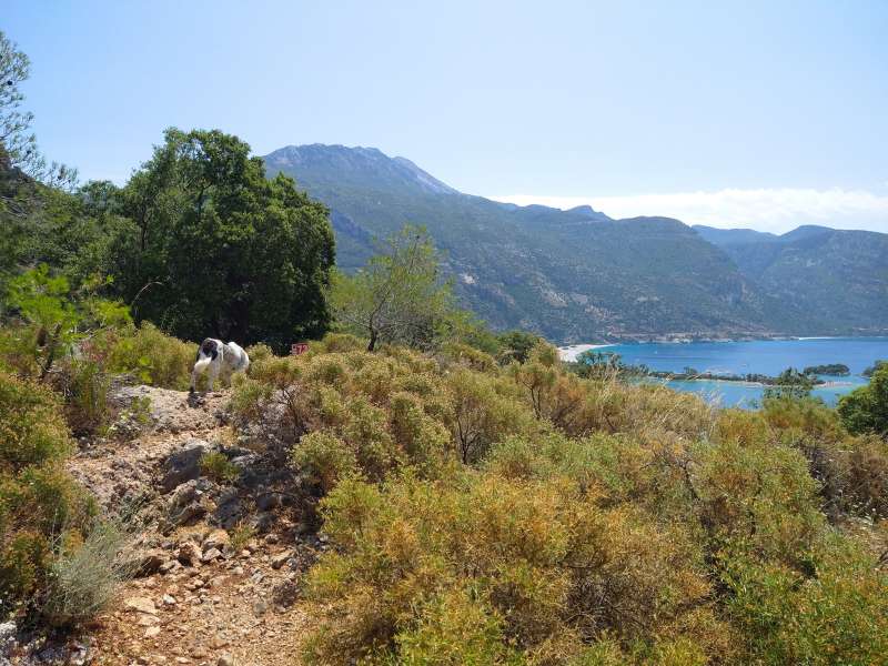 lycian way hiking trail