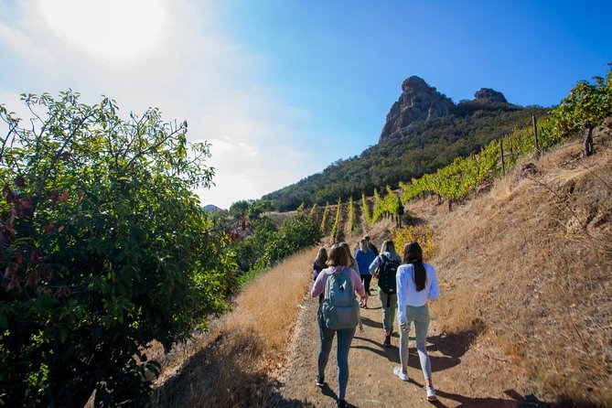 Hiking in a Malibu winery is a great adventure in California that everyone can enjoy