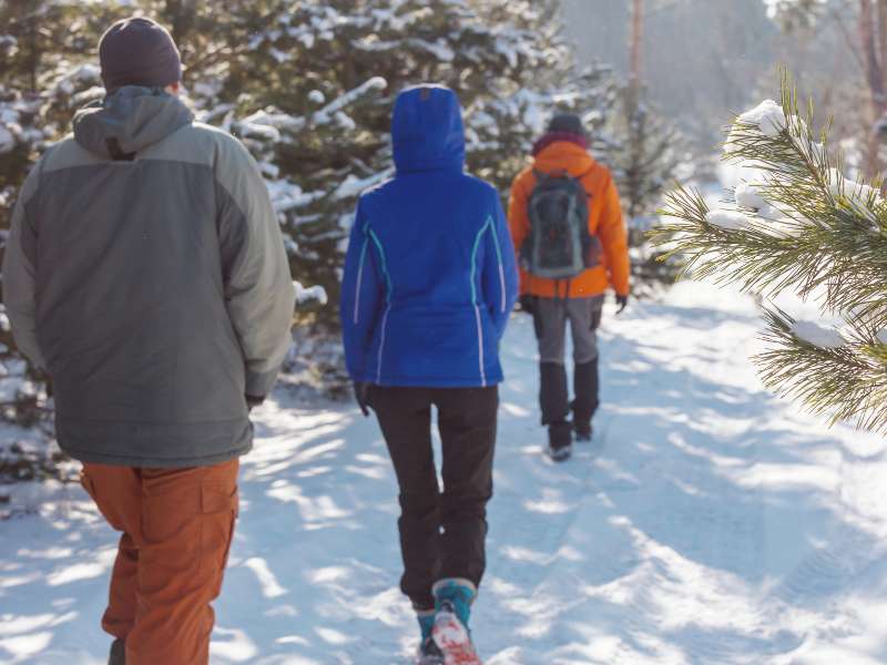 Winter Hiking in Marsh Loop Banff