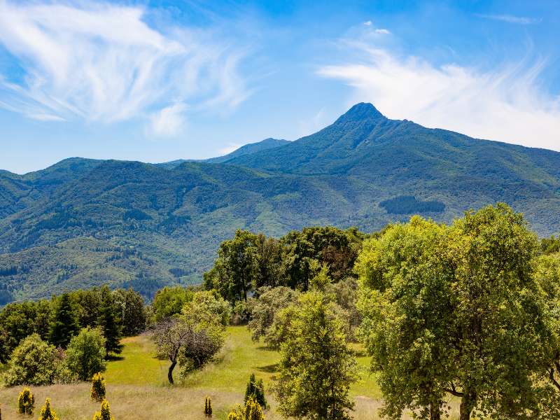 Montseny Natural Park is one of the best hikes near Barcelona