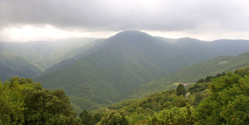 montseny natural park mountain in catalonia spain