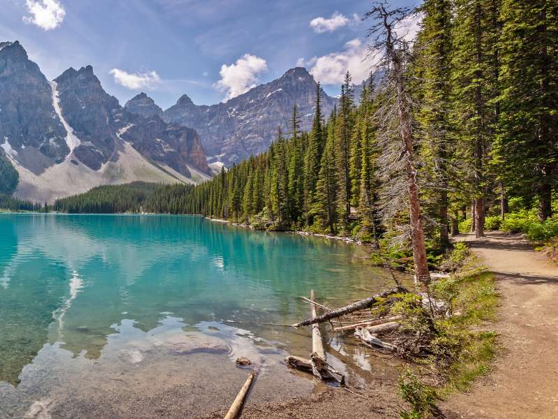 easy hikes in moraine lake shoreline trail