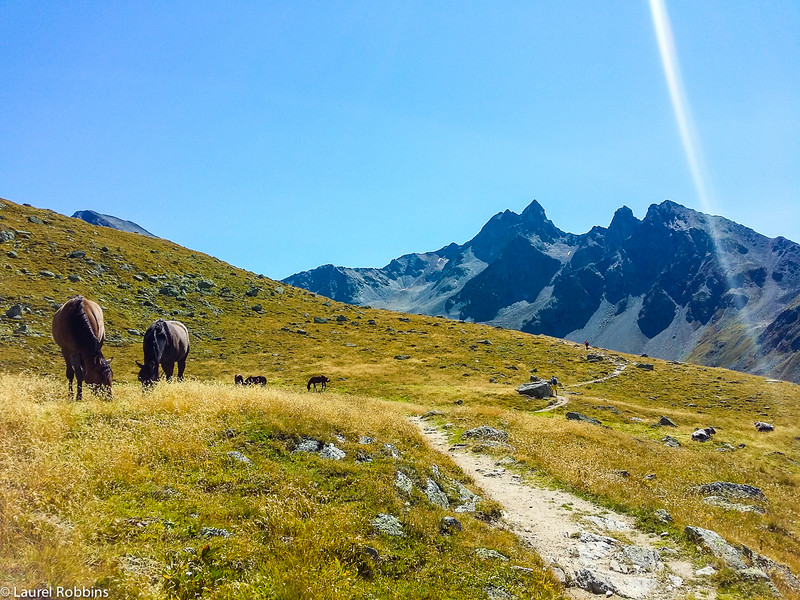 Trail from Muottas Muragl to Lej Muragl, a scenic hike in the Engadin mountains near St. Moritz, Switzerland.