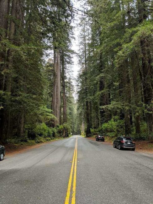 Newton B. Drury Scenic Parkways is one of your last stops on this road trip. It is the perfect way to end off the perfect vacation in Northern California 