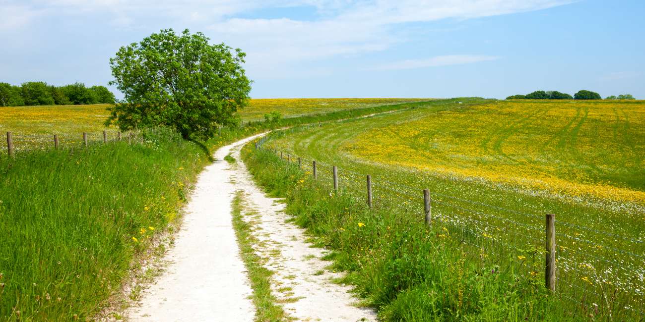 North Downs Way National Trail