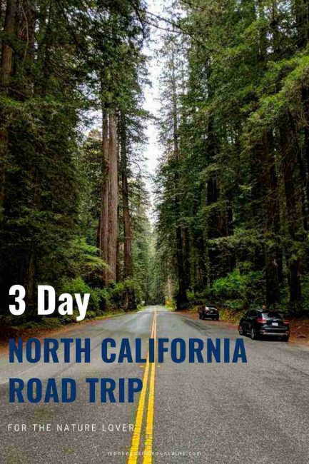 Northern California Roadtrip