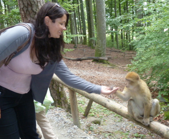 Me feeding a Barbary macaque