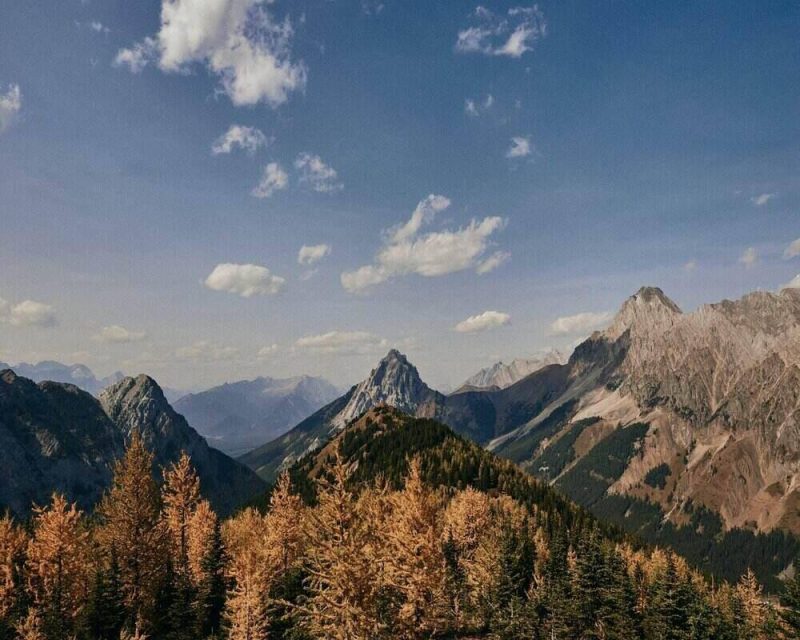 Larch trees are a great sight on a fall hike. It's something you have to experience at least once. 