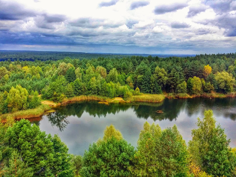 Wielkopolski National Park,near Poznan, Poland.