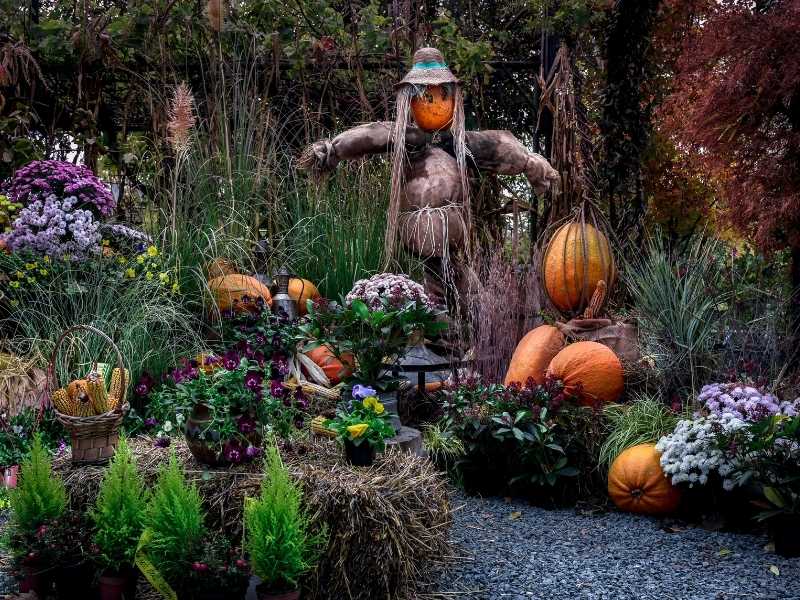 Pumpkin Festival - Scary Scarecrows and pumpkins