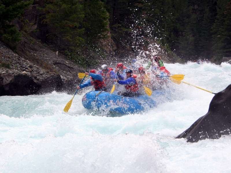 you'll love the adventure of white water rafting the Trinity River in California