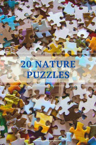 best nature puzzles for ultimate relaxation