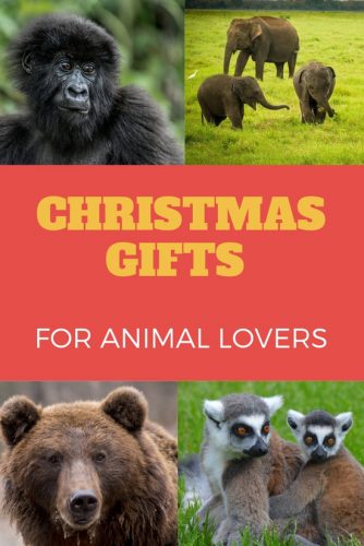 gifts for the animal lover in your life