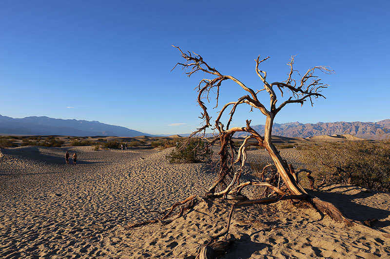 Death Valley Natioanl Park is an excellent place to find hikes of every level