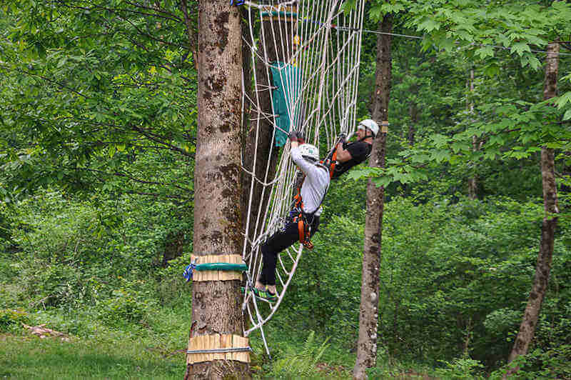 adventures with spider nets