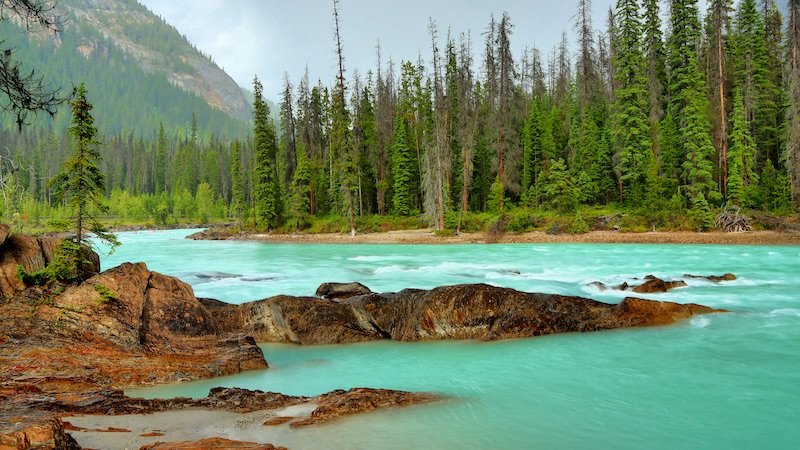 The kicking horse river is one of the most beautiful in Canada and should not be missed 