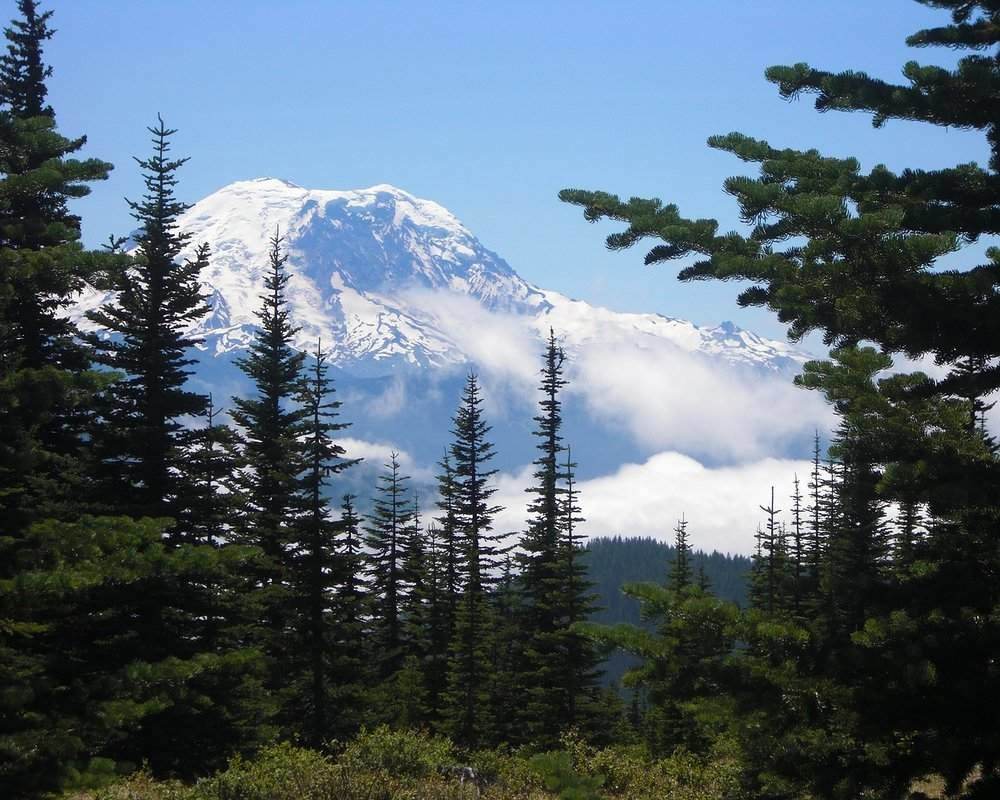 Mount Rainier is one of the best places to hike in the USA