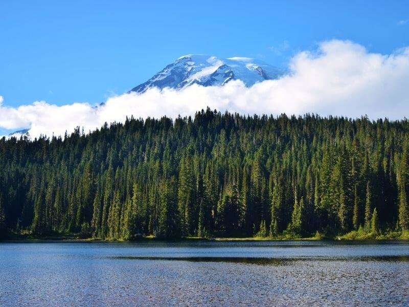 Reflection lake stays true to its name and you will be inspired by how beautiful it is 