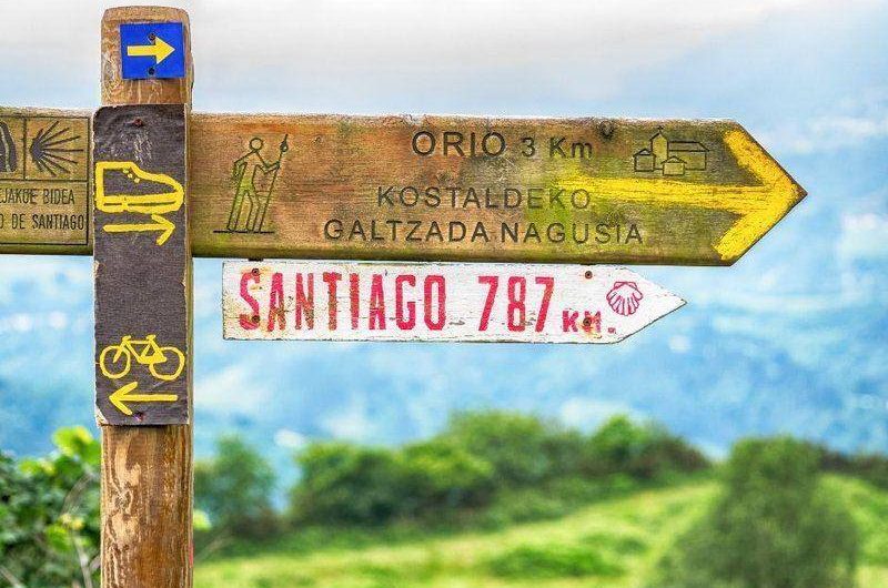 walking the last 100 km of the Camino Santiago