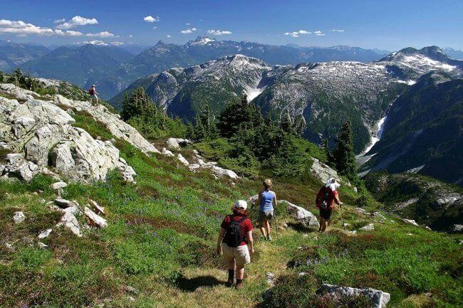 whistler wilderness hike