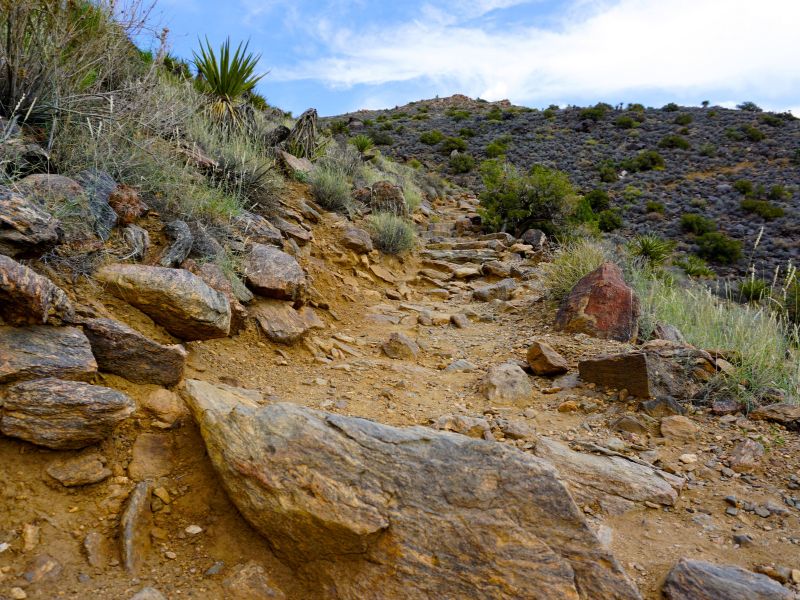 Ryan mountain is considered a moderately challenging route