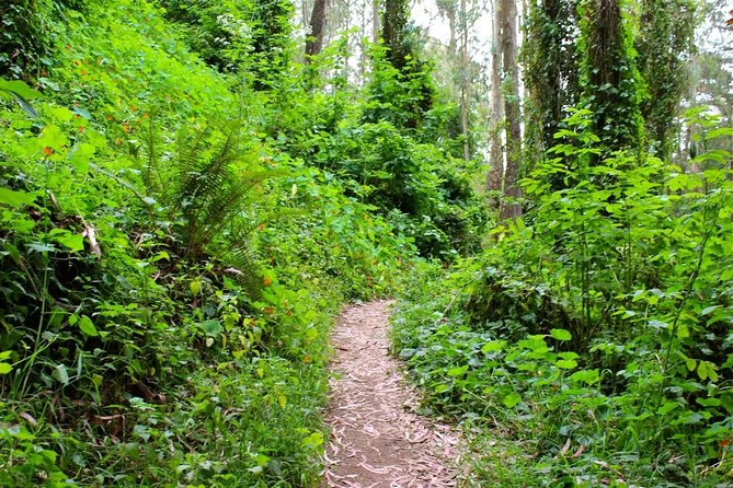 Taking an urban hike in San Francisco is a great way to experience the city in a different way.