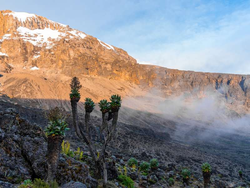 Lemoshoa Kilimanjaro route 