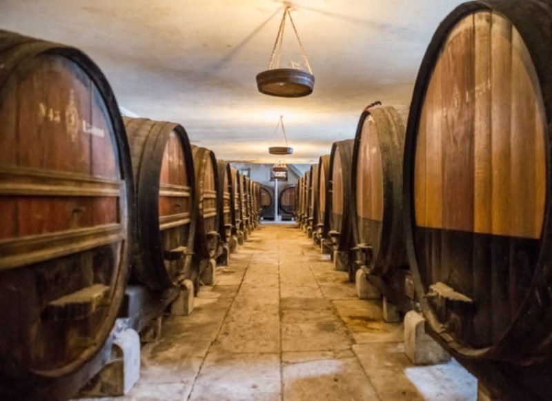 Explore Setubal, Portugal with this great wine tour 