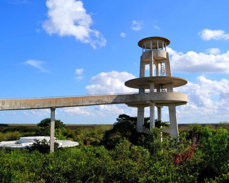 Biking in Shark Valley is one of the best things to do in the Everglades, Florida