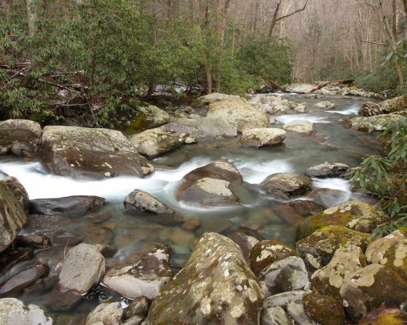 Porters Creek is an easy, family-friendly trail. 