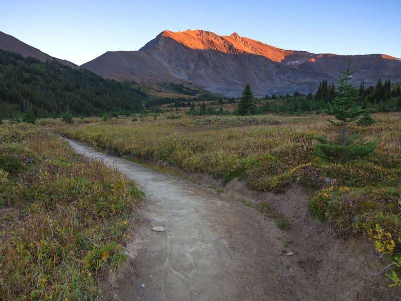 Skyline Trail in Jasper National Park, Canada is one of the best mountain treks in the world