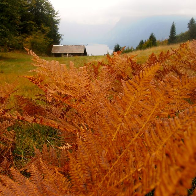 hiking in Triglav National Park