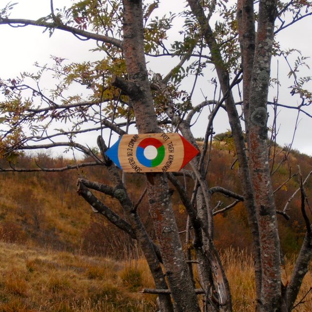 Trail markers leading you towards Italy or Slovenia.