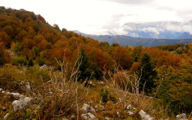 Fall is an especially beautiful time to hike Monte Matajur.