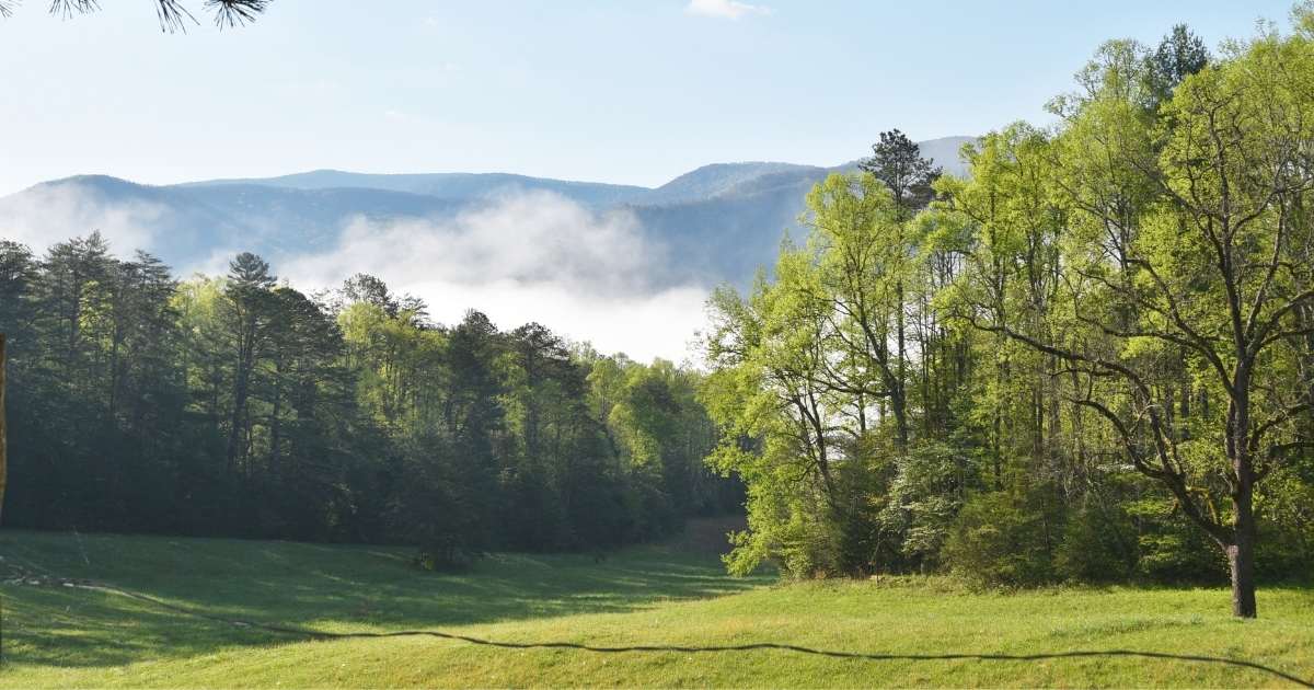 Great Smoky Mountains National Park