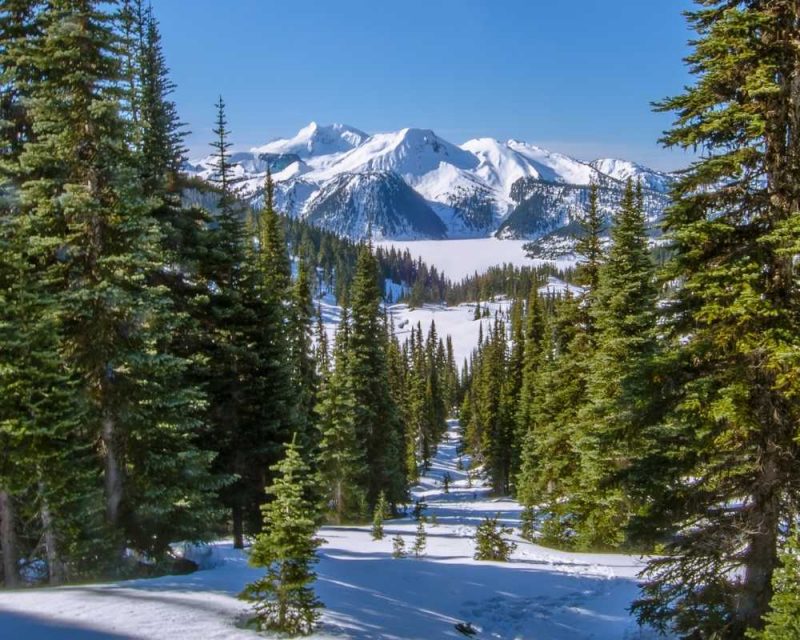 Snowshoeing in Whistler