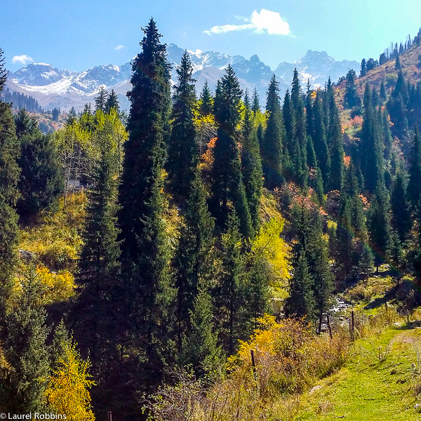 Landscape while hiking up to Shymbulak Ski Resort