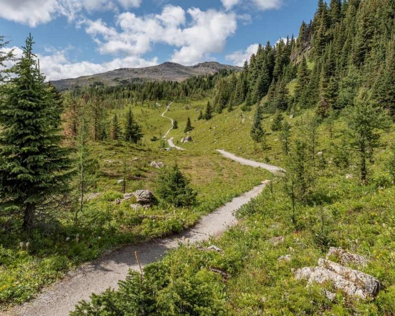 Sunshine Meadows hike - Sunshine Meadow Banff