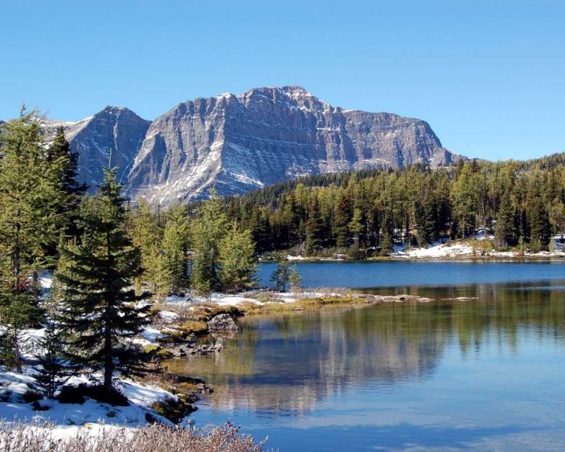 Sunshine Meadows hike - Sunshine Meadow Banff