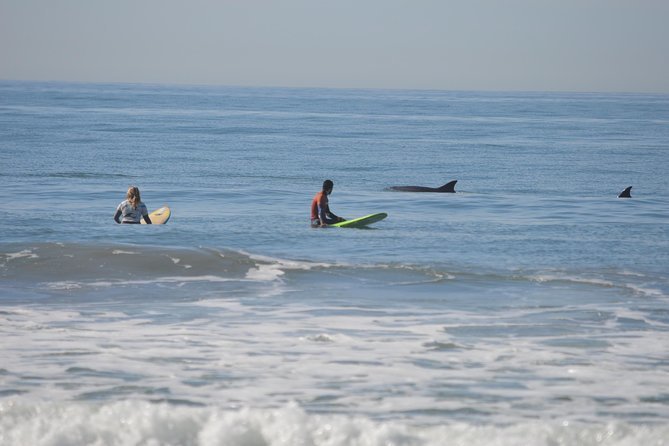 Learning to surf is a great adventure to try when in California