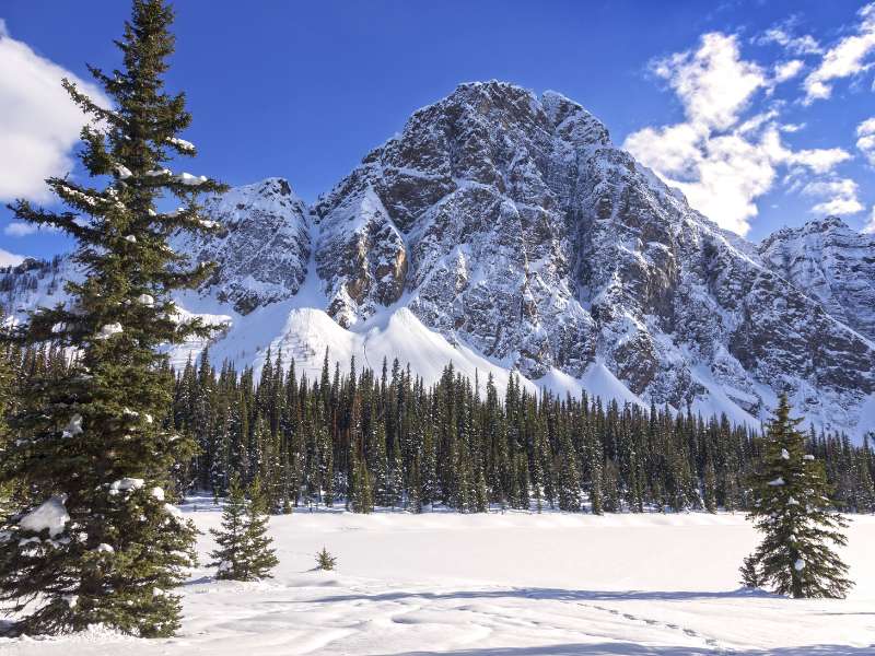 Winter Hiking in Taylor Lake 