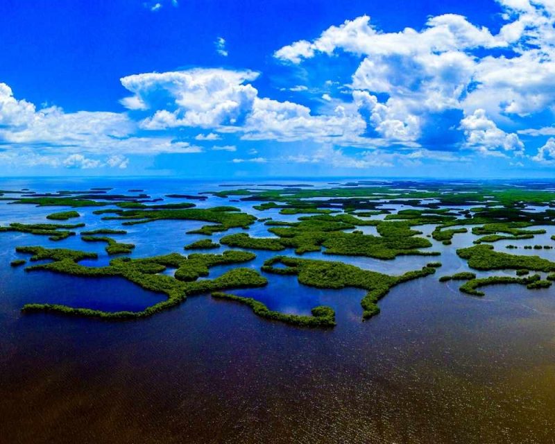 Ten Thousand Islands 