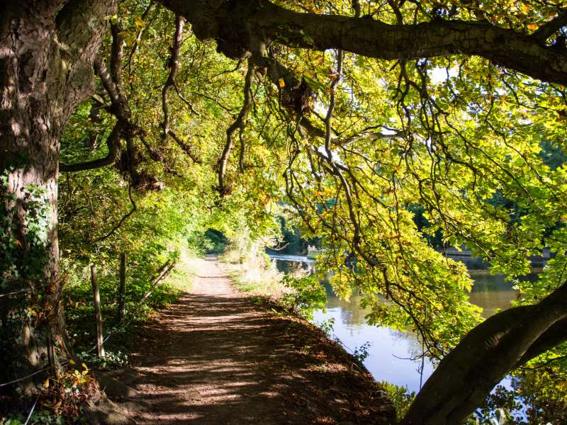 Thames Path in Goring