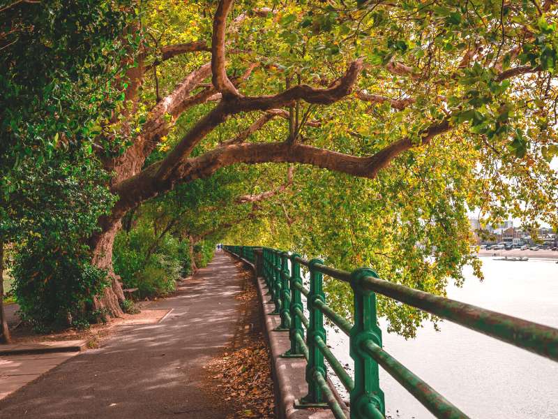 Walking the Thames Path in Fulham, London