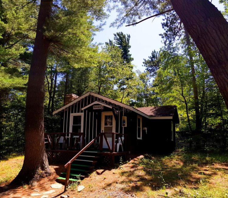 Enjoy a great cabin stay that has everything you need